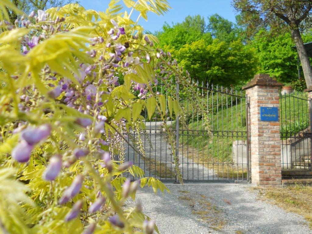 Tenuta Calabiana Diano d'Alba Phòng bức ảnh