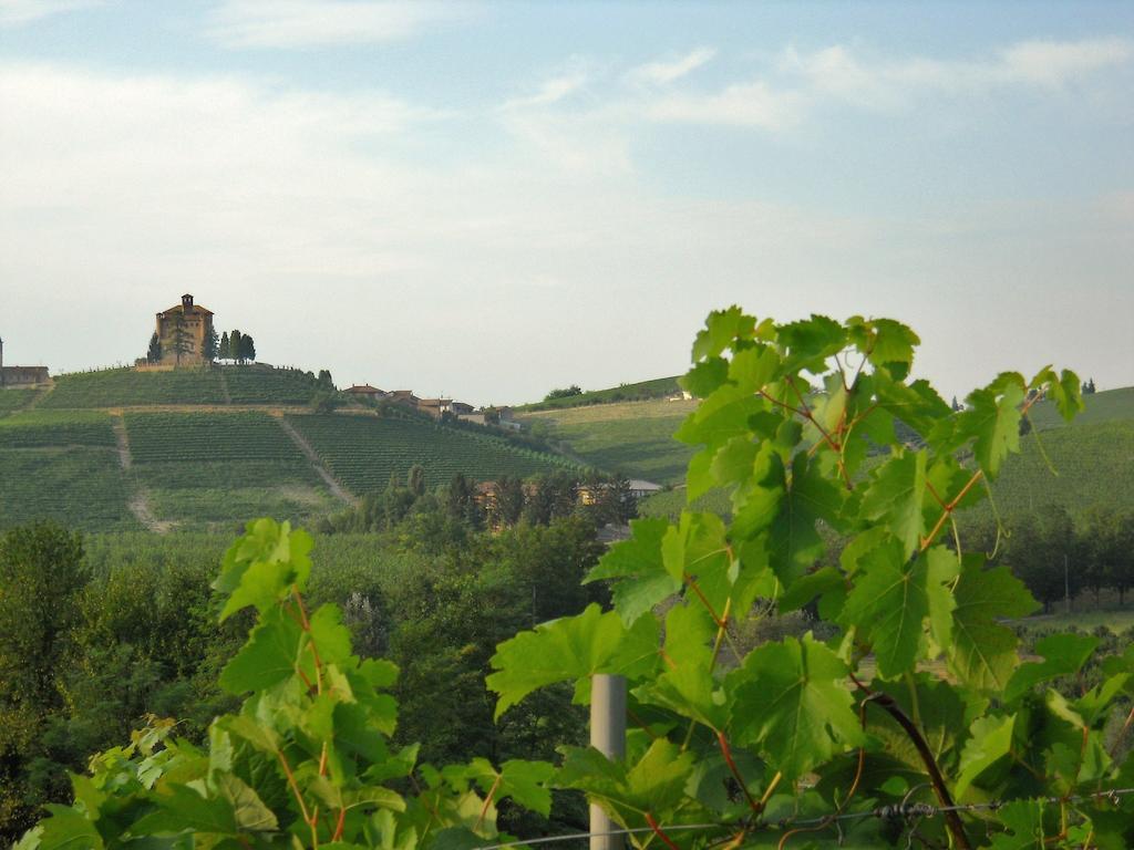 Tenuta Calabiana Diano d'Alba Phòng bức ảnh